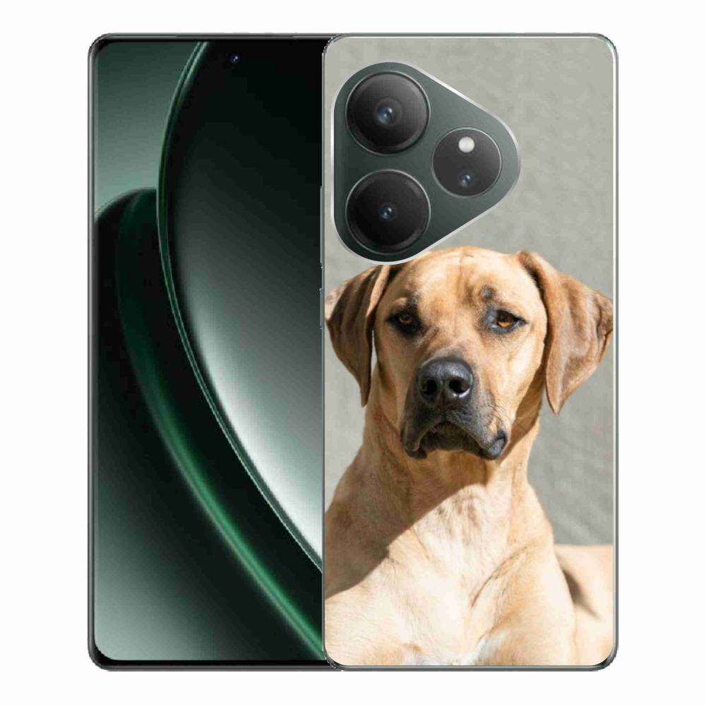 Zselés borítás mmCase a Realme GT 6 5G/GT 6T 5G számára - ridgeback