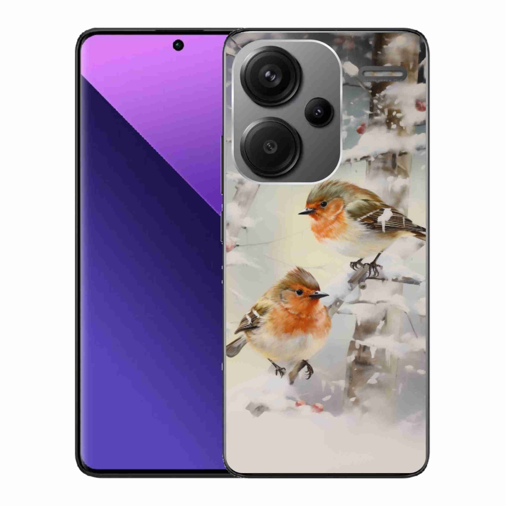 Gél borítás mmCase a Xiaomi Redmi Note 13 Pro+ 5G számára - madarak télen