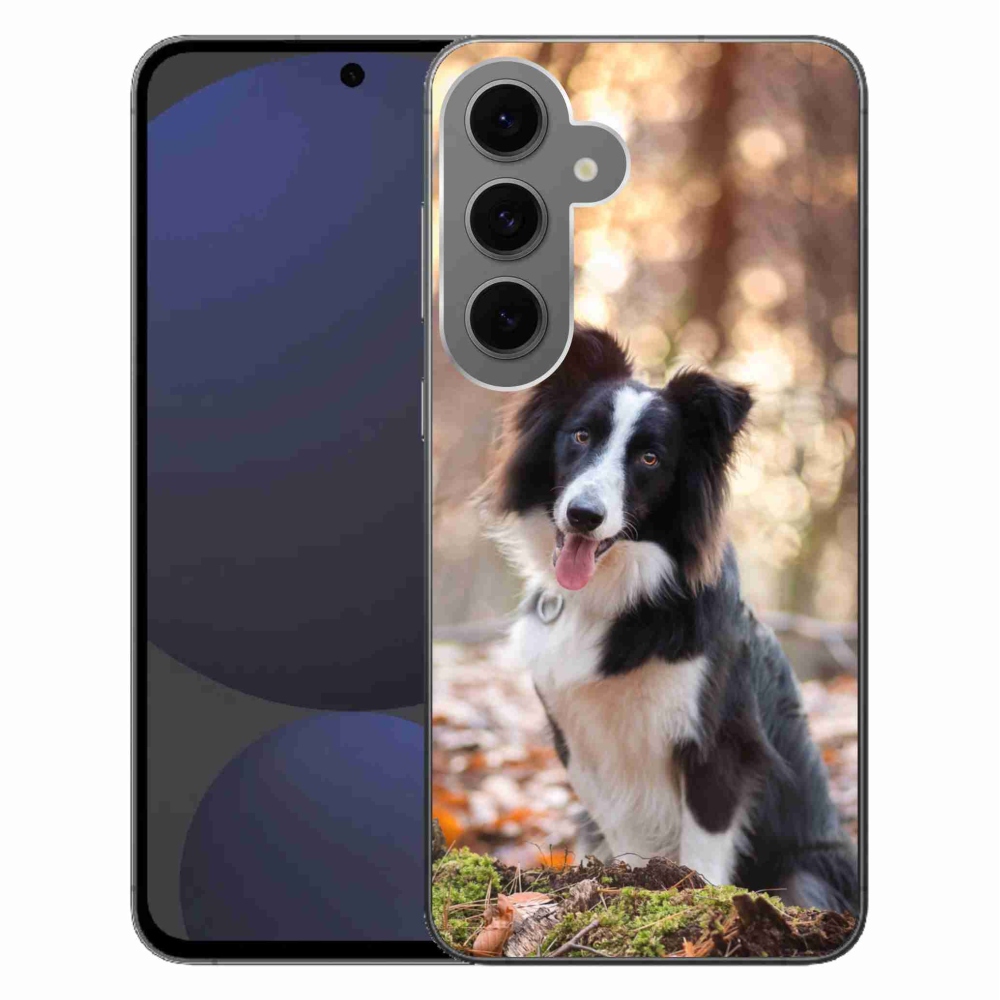 Gél tok mmCase Samsung Galaxy S24 FE - border colie 1