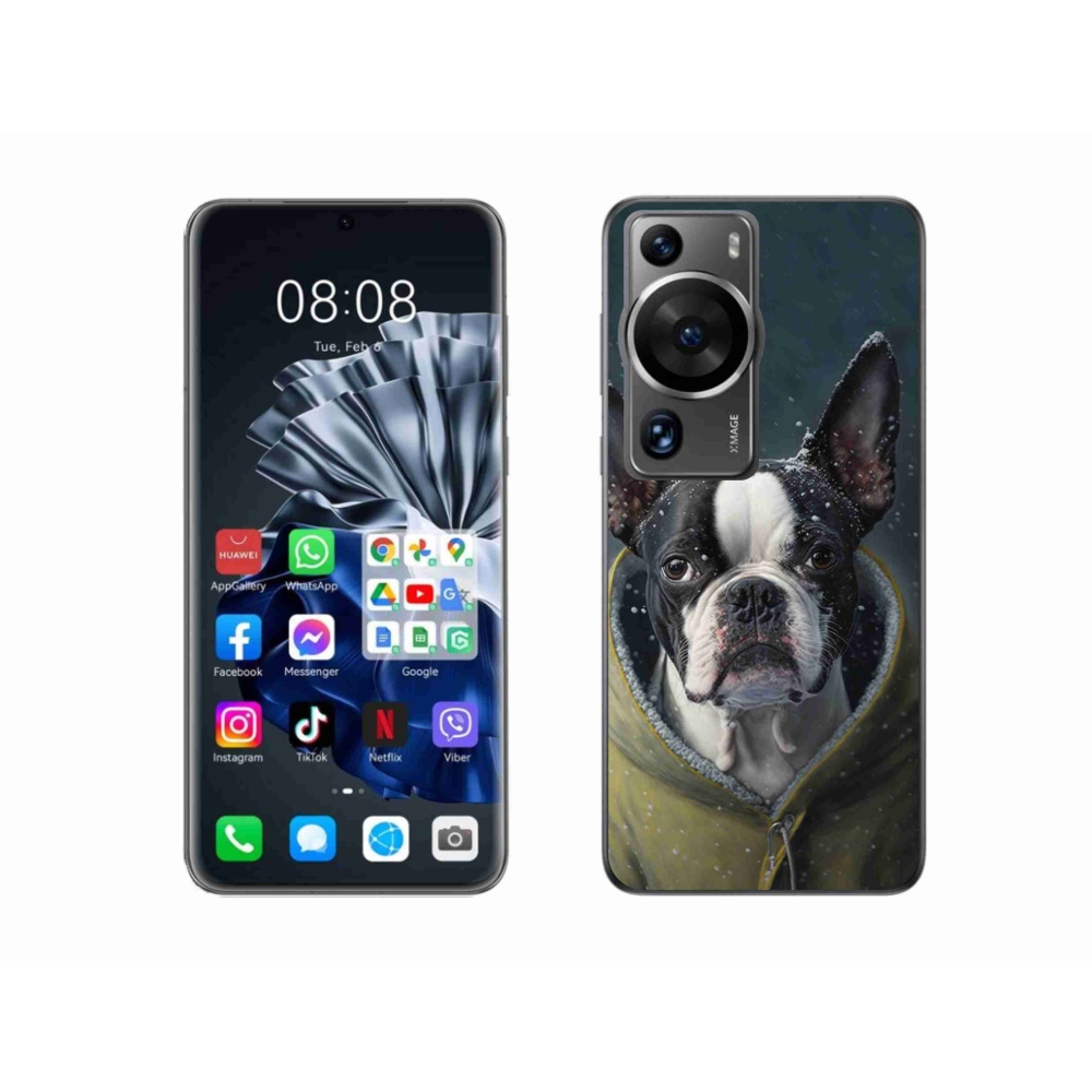 Gél borítás mmCase a Huawei P60 Pro számára - bulldog