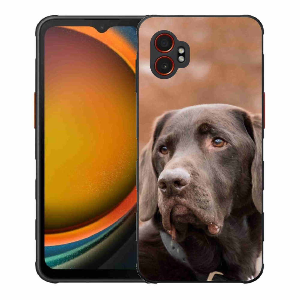 Gél borítás mmCase Samsung Galaxy Xcover 7 Pro készülékhez - barna labrador