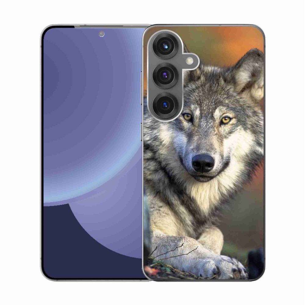 Gél borítás mmCase Samsung Galaxy S25 - farkas