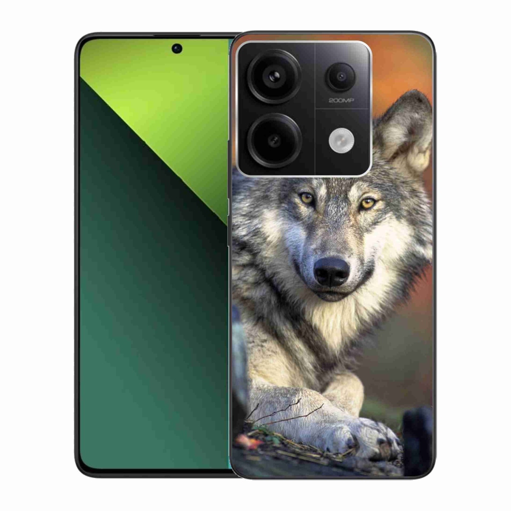 Gél tok mmCase a Xiaomi Redmi Note 13 Pro 5G/Poco X6 5G számára - farkas