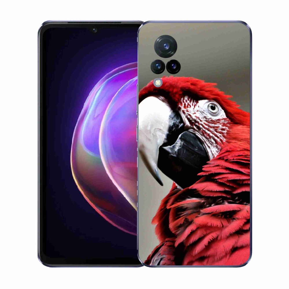 Gél borítás mmCase a Vivo V21 4G/5G készülékhez - papagáj ara piros