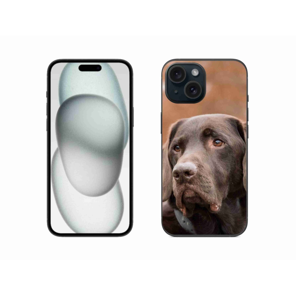 Gél tok mmCase iPhone 15 készülékhez - barna labrador