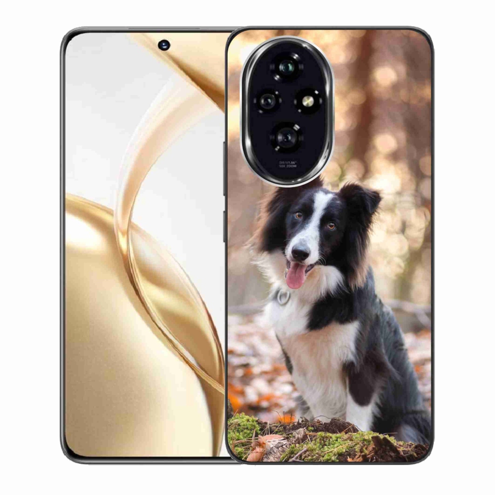 Gél tok mmCase a Honor 200 5G számára - border colie 1