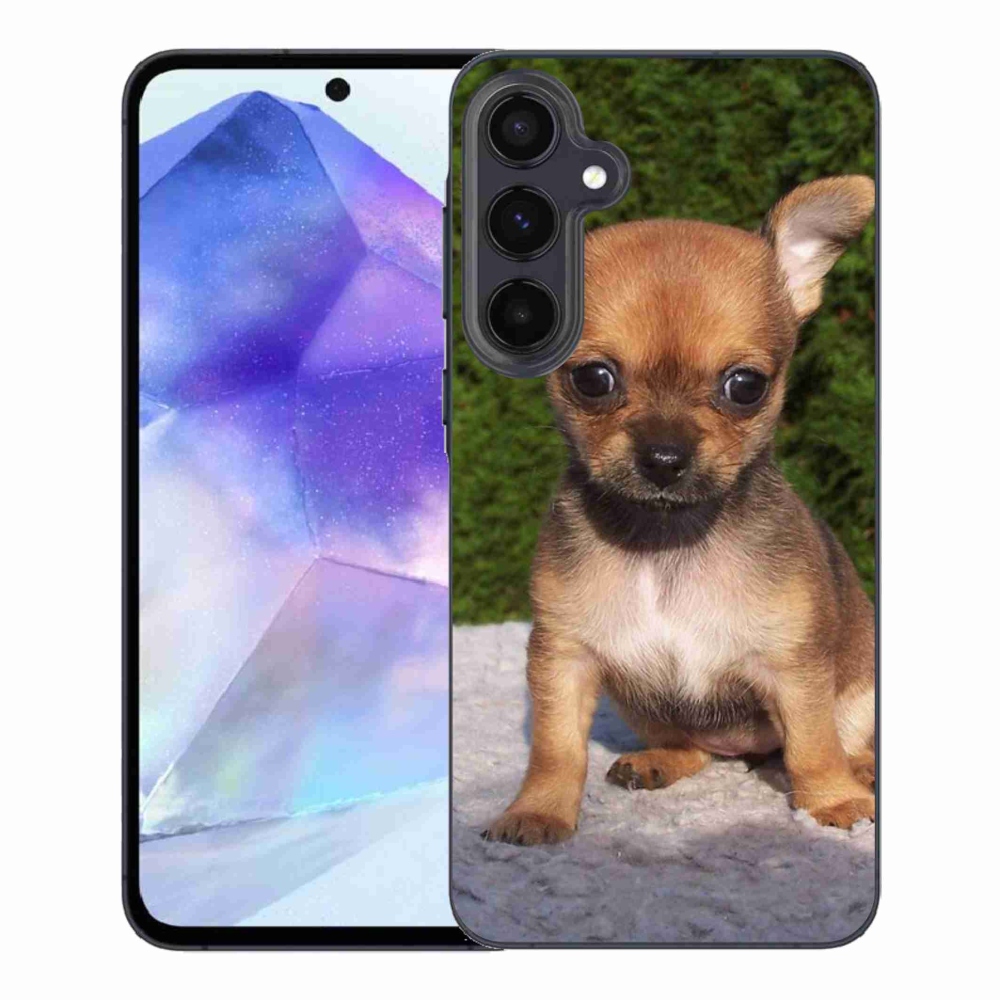 Gél tok mmCase Samsung Galaxy A55 5G - chihuahua 3