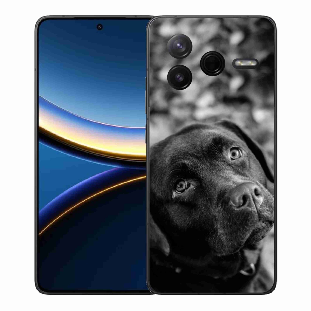 Gél borítás mmCase a Xiaomi Poco F7 Pro készülékhez - labrador