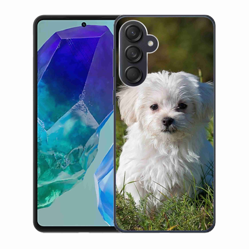 Gél tok mmCase a Samsung Galaxy M55 5G készülékhez - bichon