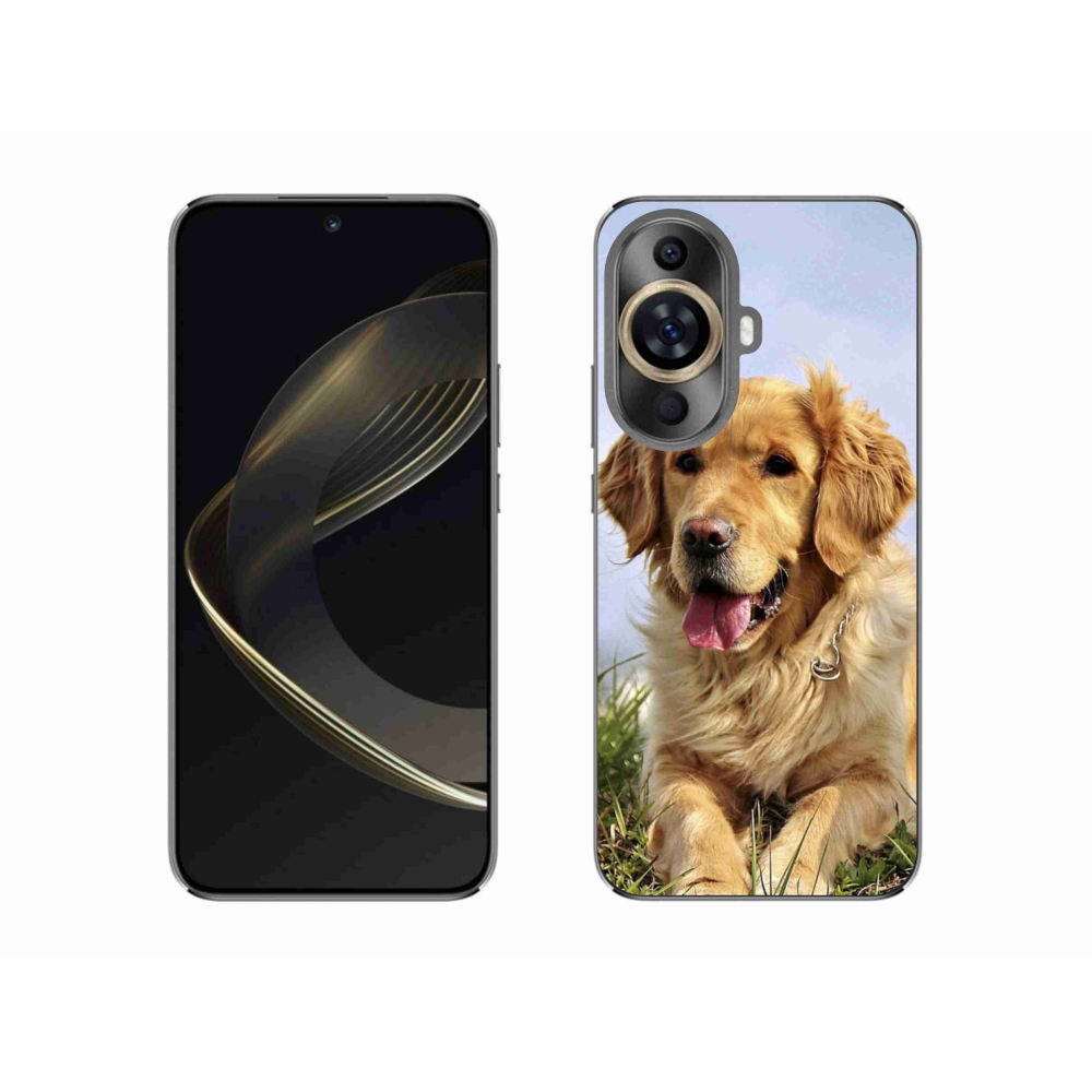 Gél tok mmCase a Huawei Nova 11 készülékhez - arany retriever