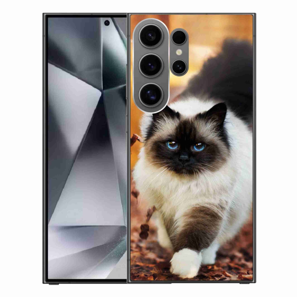 Gél tok mmCase Samsung Galaxy S24 Ultra készülékhez - macska