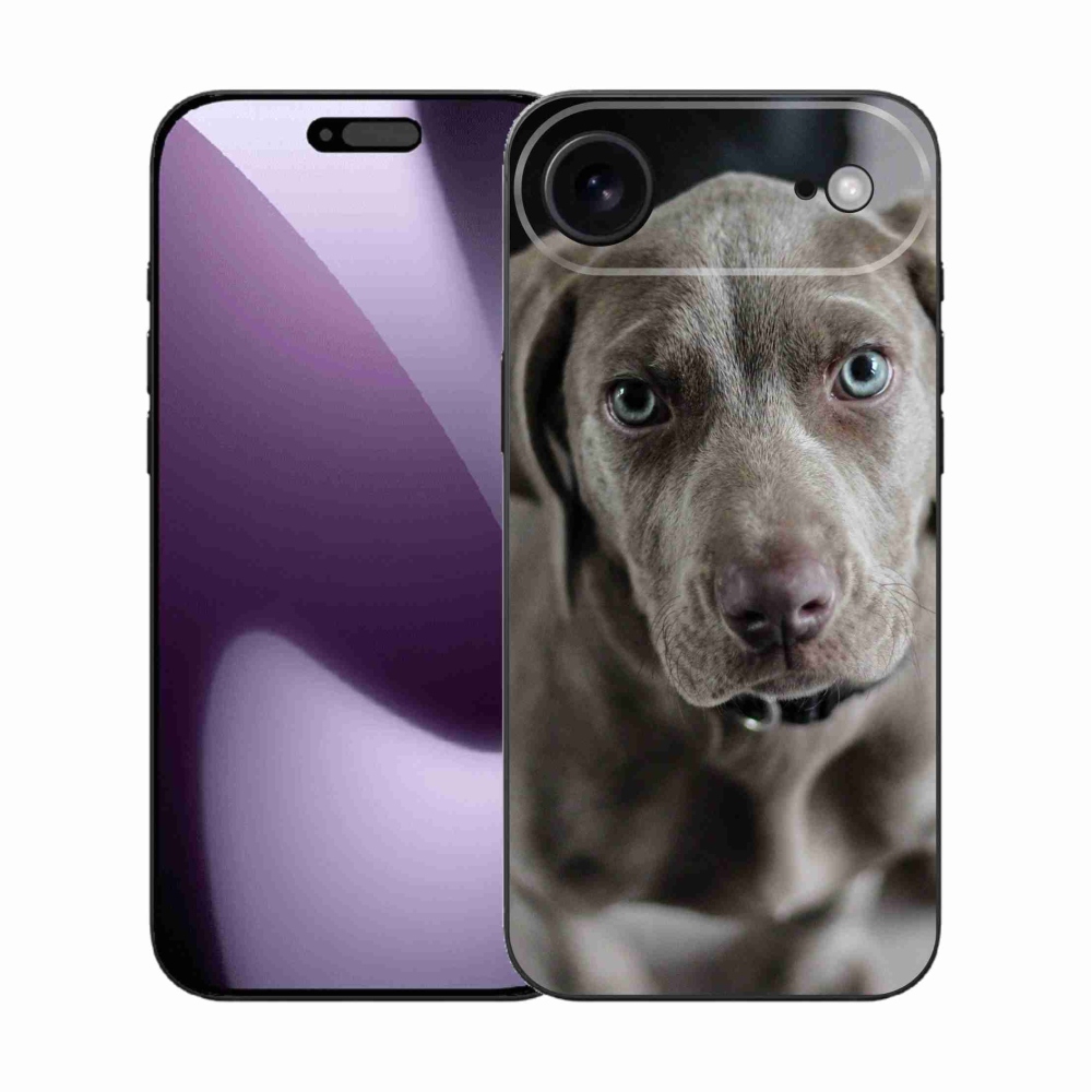 Zselés borítás mmCase iPhone 17 Air készülékhez - Weimaraner