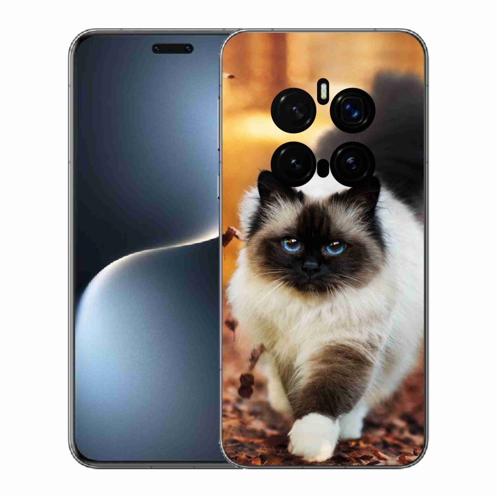 Zselés borítás mmCase a Honor Magic 7 Pro 5G készülékhez - macska