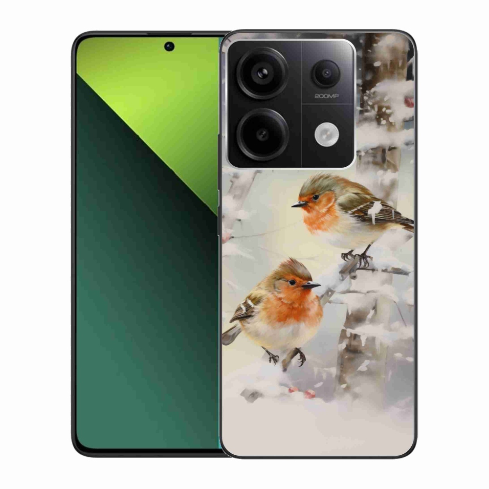 Gél borítás mmCase a Xiaomi Redmi Note 13 Pro 5G/Poco X6 5G számára - madarak télen