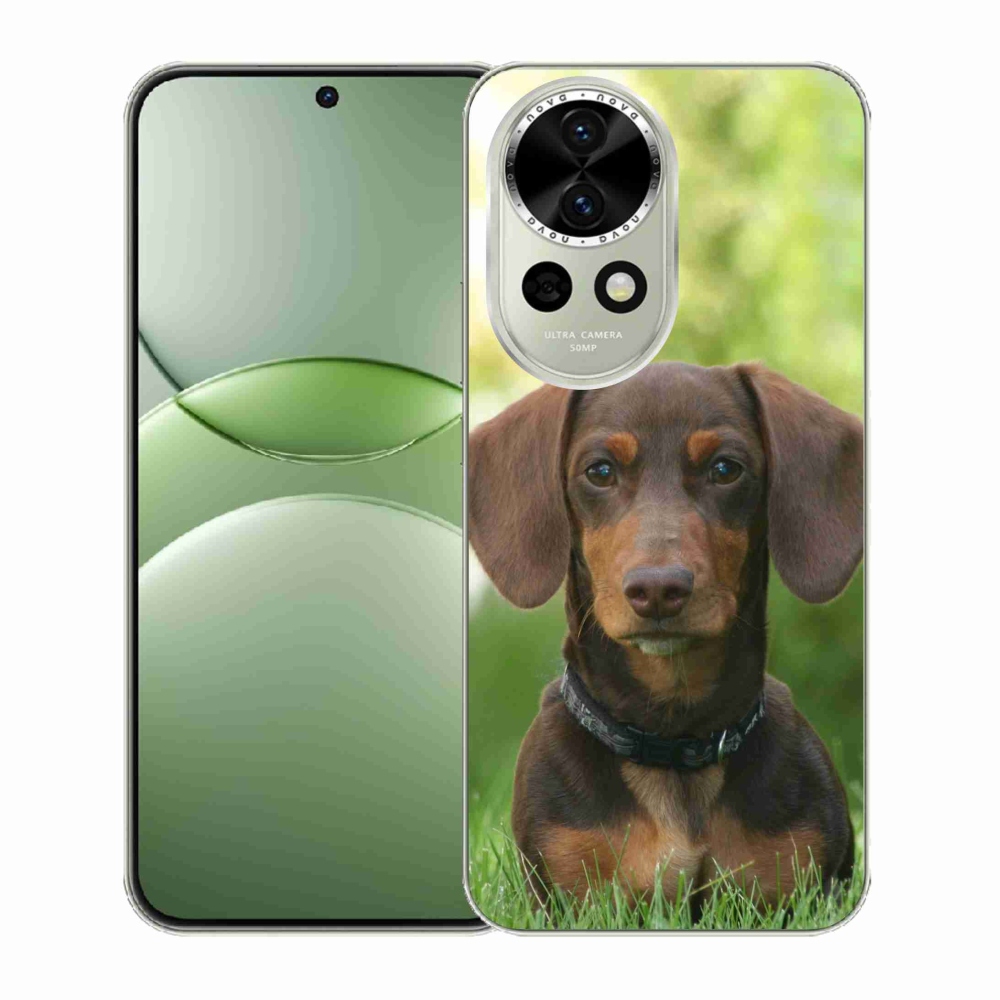 Gél borító mmCase a Huawei Nova 13 5G készülékhez - barna tacskó