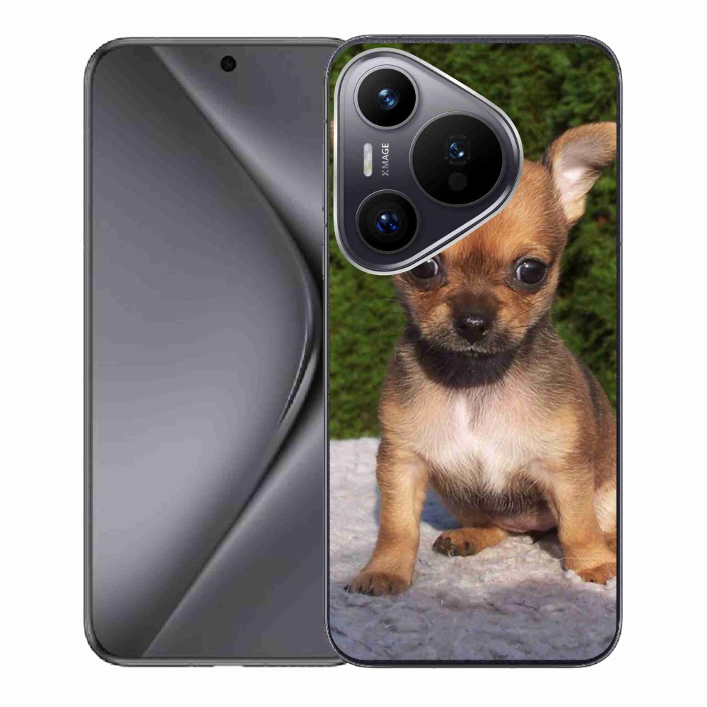 Gél tok mmCase a Huawei Pura 70-hez - chihuahua 3