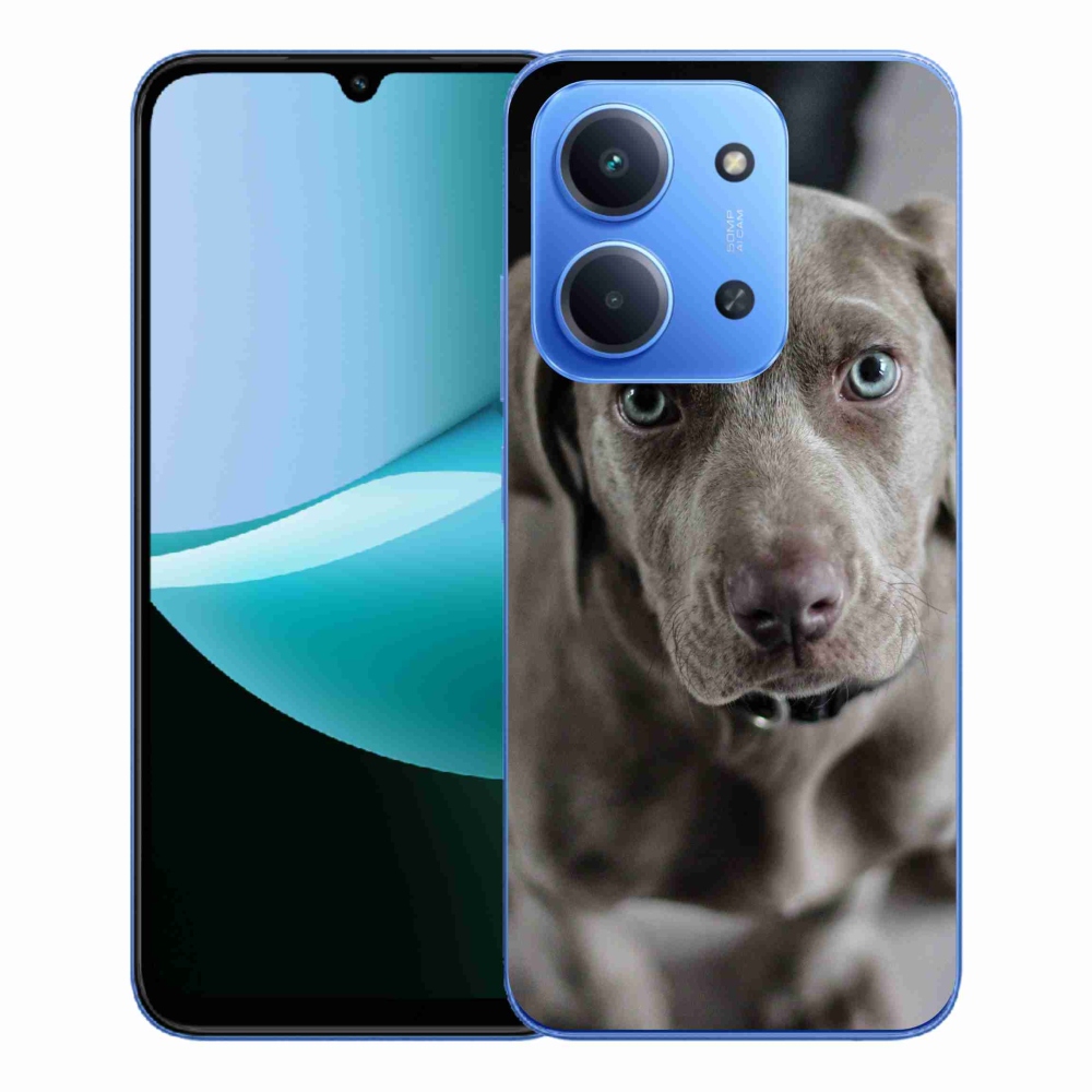 Gél borítás mmCase a Xiaomi Redmi 15C 4G/5G (173mm) - golden retrieverhez