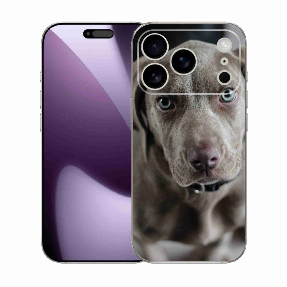 Gél borítás mmCase iPhone 17 Pro készülékhez - Egzotikus kutya