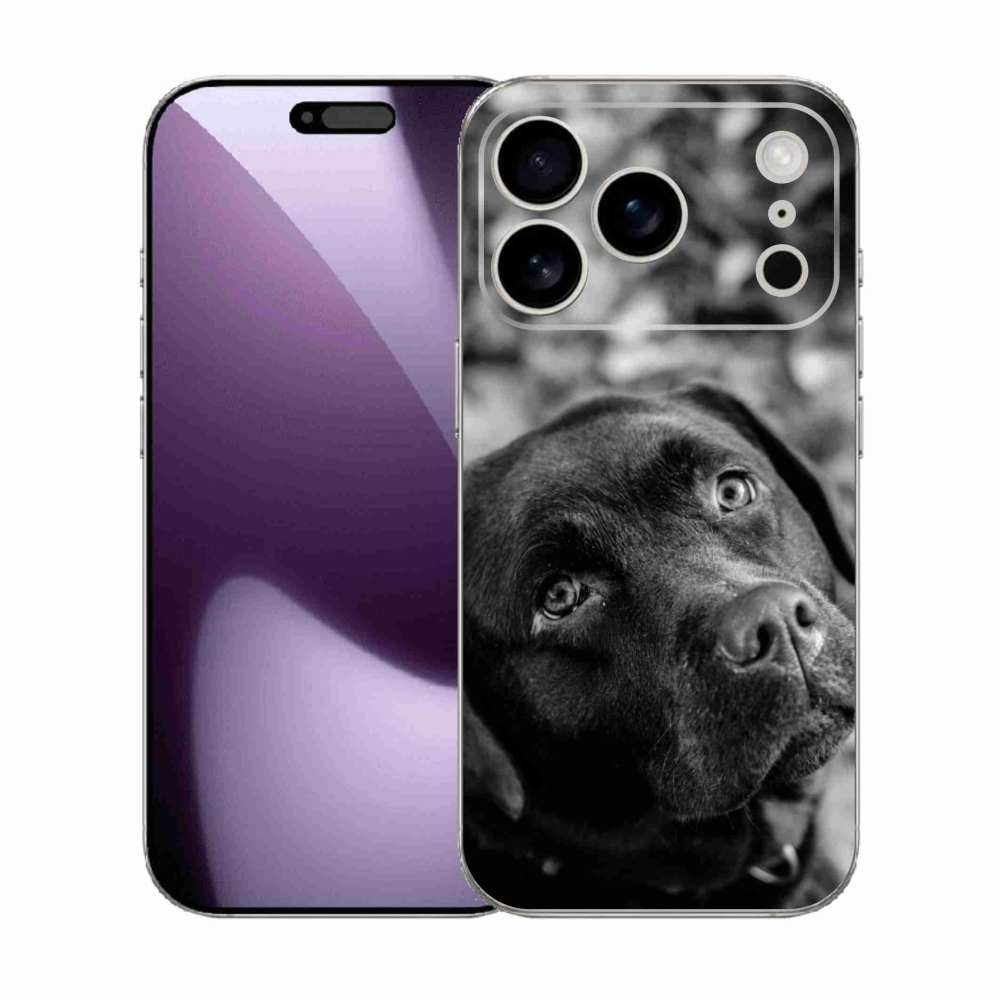 Zselés borítás mmCase iPhone 17 Pro készülékhez - labrador