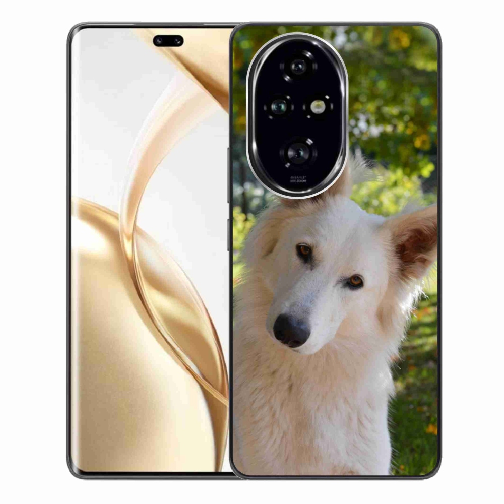 Gél borítás mmCase a Honor 200 Pro 5G készülékhez - Fehér svájci juhász 1