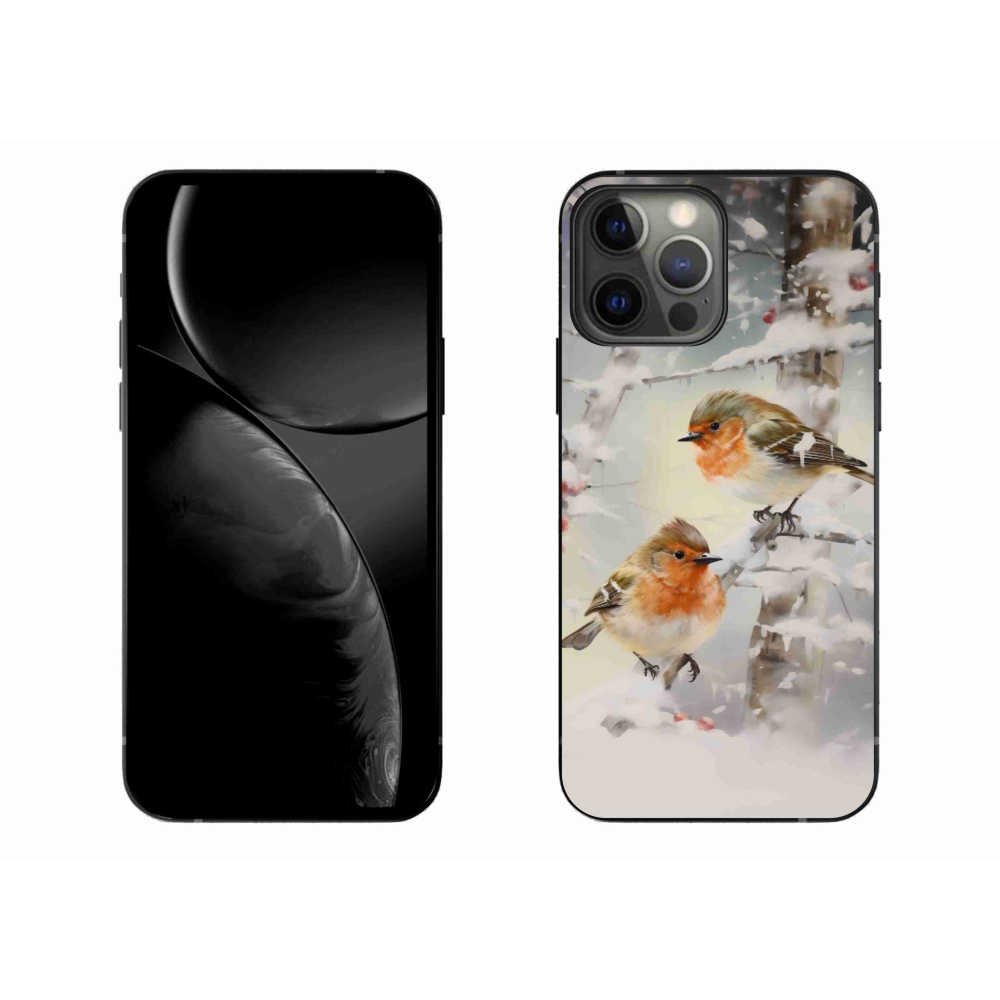 Gél borítás mmCase iPhone 13 Pro Max készülékhez - madarak télen