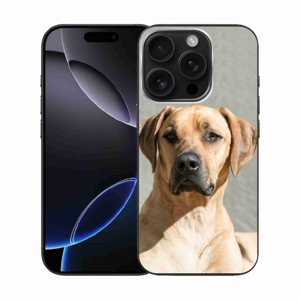 Zselés borítás mmCase iPhone 16 Pro készülékhez - ridgeback