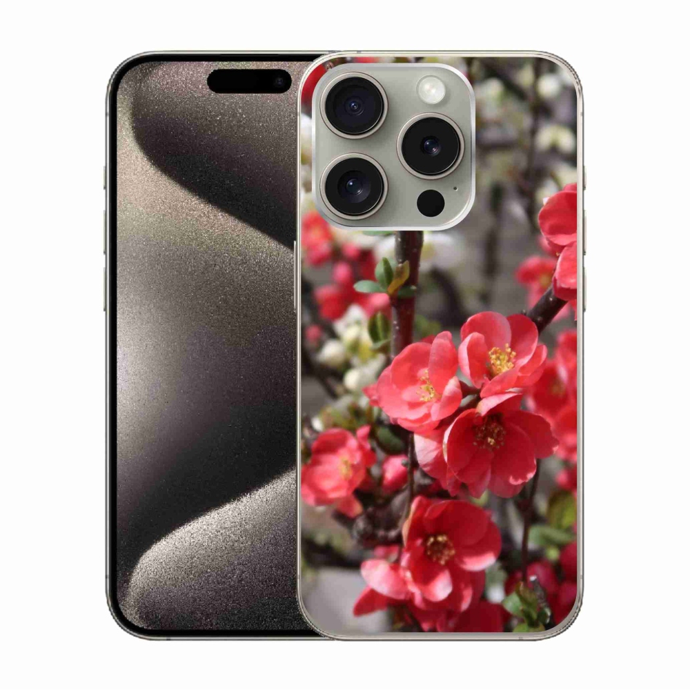 Zselés borítás mmCase iPhone 15 Pro készülékhez - piros virágok