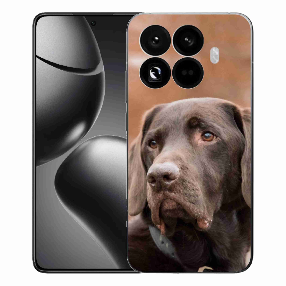 Gél borítás mmCase a Xiaomi 15T Pro készülékhez - barna labrador