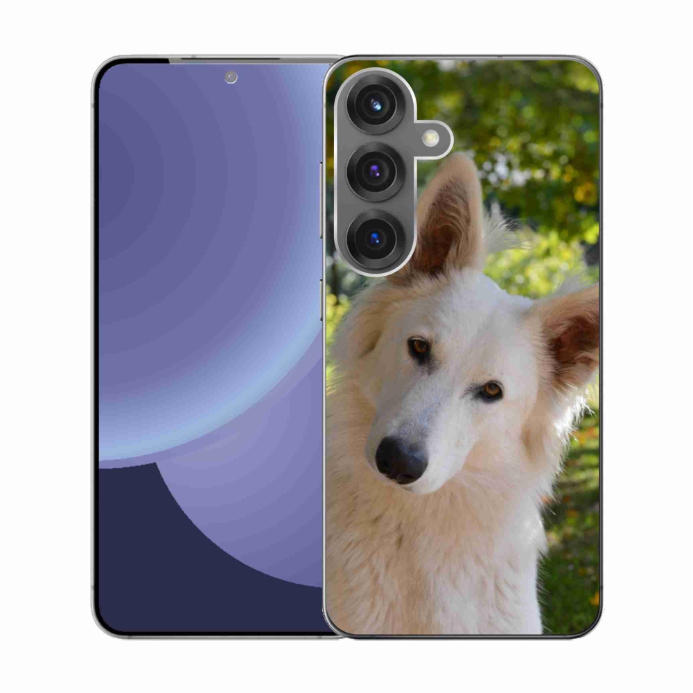 Zselés borítás mmCase Samsung Galaxy S25 - fehér Svájci juhász 1