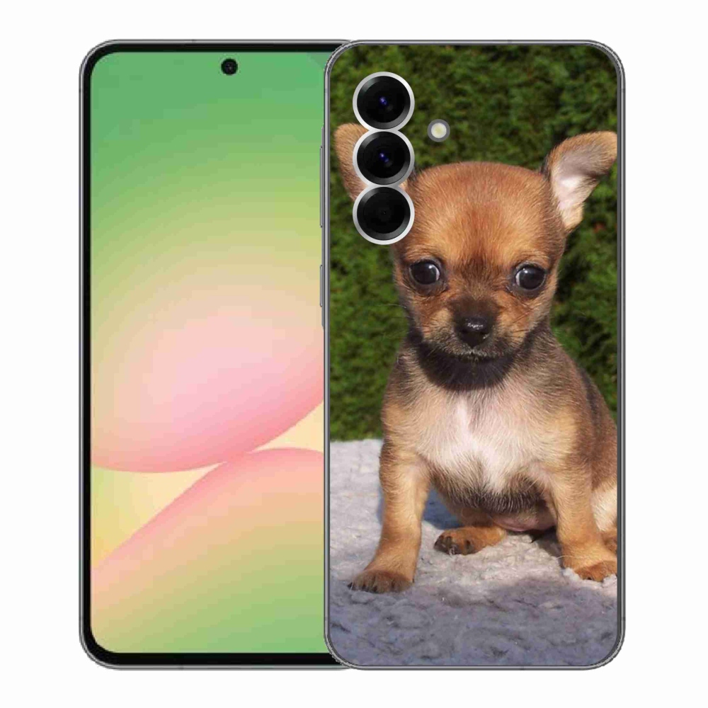 Gél borítás mmCase Samsung Galaxy A56 5G - chihuahua 3