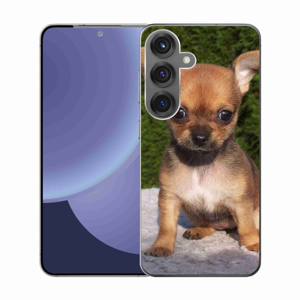 Gél borítás mmCase Samsung Galaxy S25 - chihuahua 3