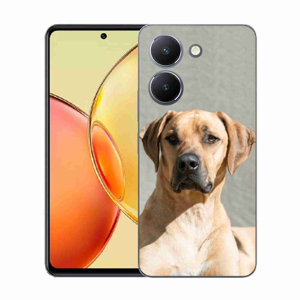 Gél borítás mmCase a Vivo Y36-hoz - ridgeback