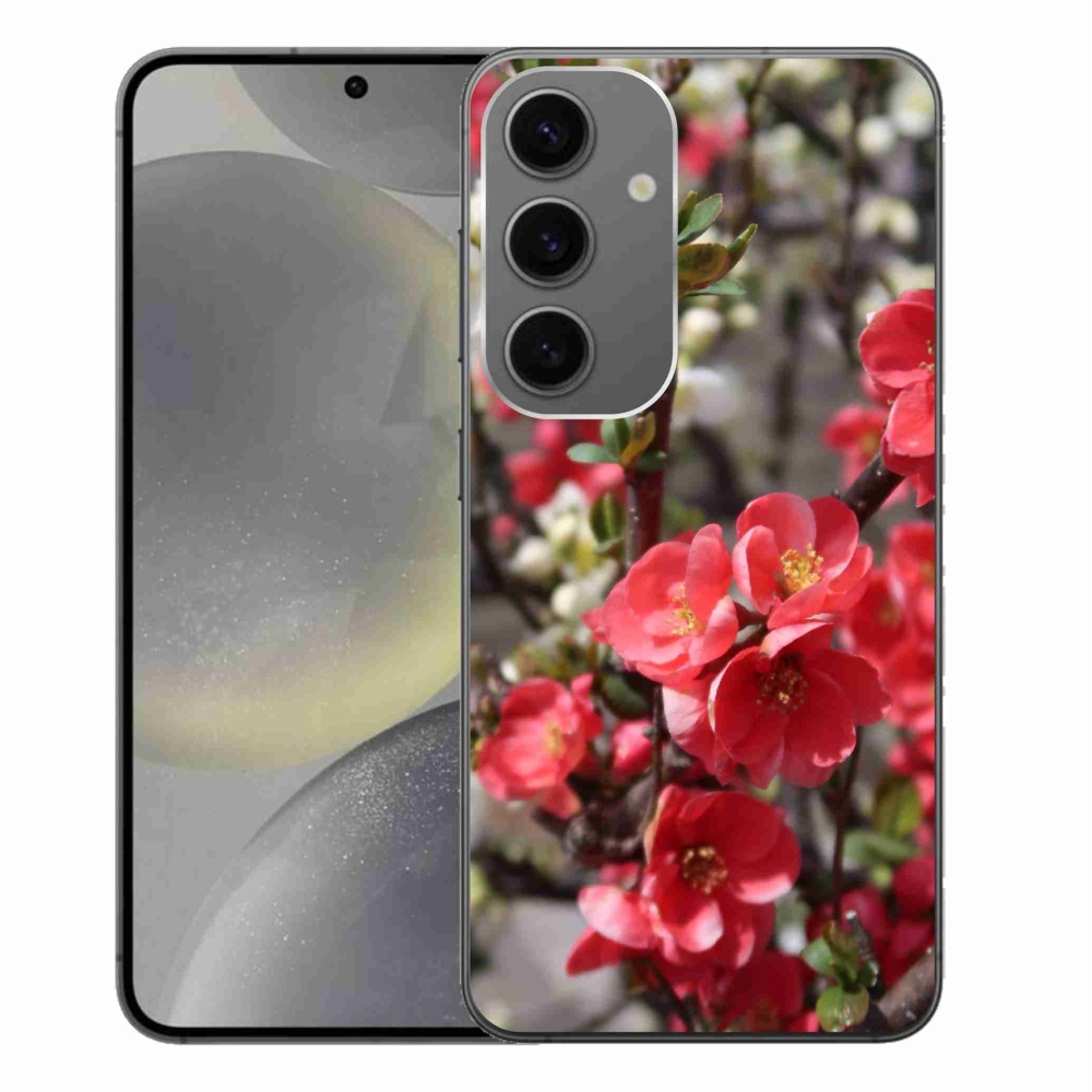 Gél védőhuzat mmCase Samsung Galaxy S24+ készülékhez - piros virágok