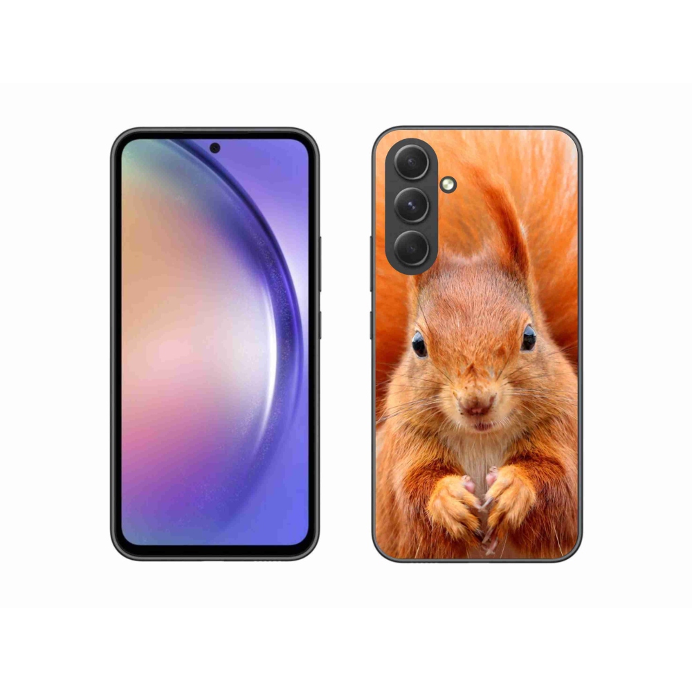 Zselés borítás mmCase Samsung Galaxy A54 5G - mókus