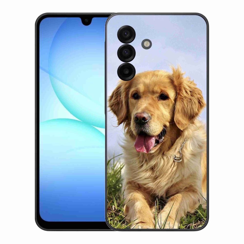 Gél borítás mmCase Samsung Galaxy A17 4G/5G - arany retrieverhez