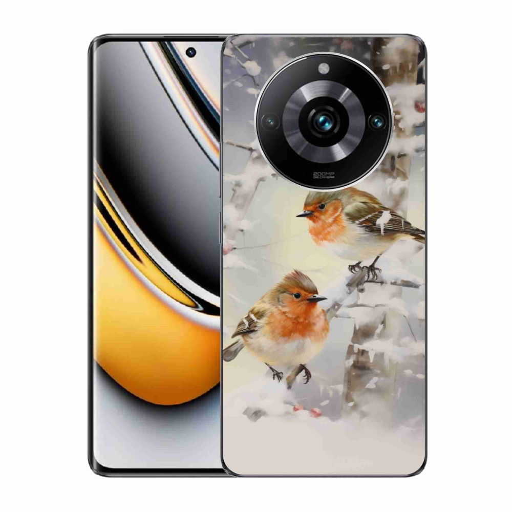 Gél borítás mmCase a Realme 11 Pro/11 Pro+ készülékhez - madarak télen