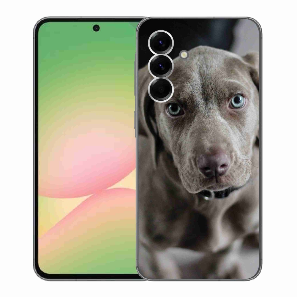 Gél borító mmCase a Samsung Galaxy A56 5G készülékhez - výmarský ohař