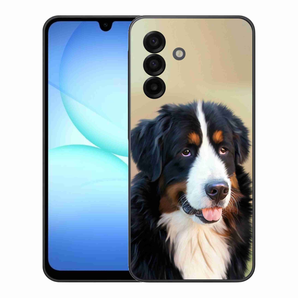 Gél borítás mmCase Samsung Galaxy A17 4G/5G - Berni hegyi kutya számára