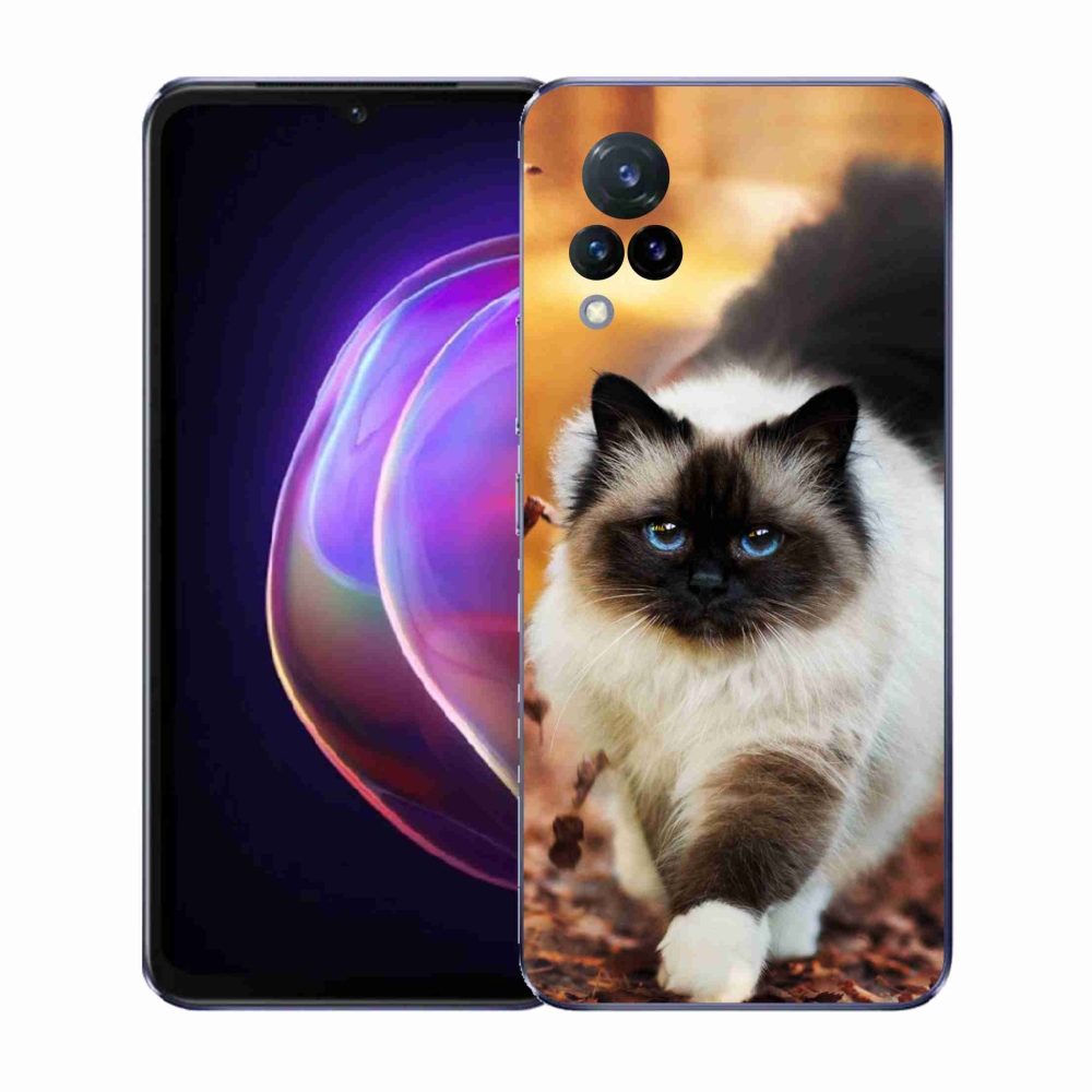 Zselés borítás mmCase a Vivo V21 4G/5G készülékhez - macska