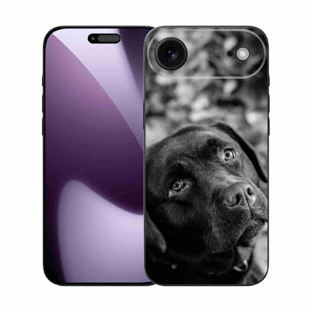 Gél borítás mmCase iPhone 17 Air készülékhez - labrador