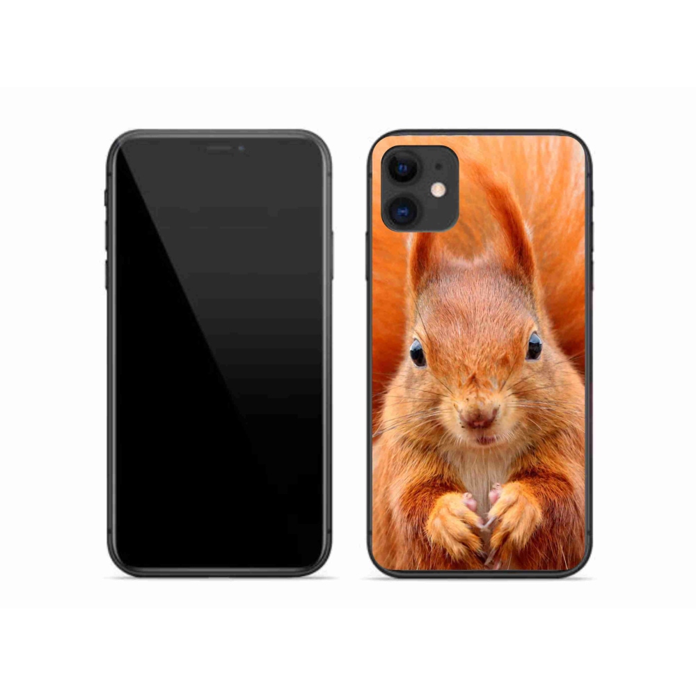 Zselés borítás mmCase iPhone 11 készülékhez - mókus