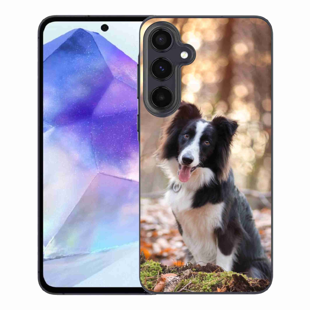 Gél tok mmCase Samsung Galaxy A55 5G - border colie 1