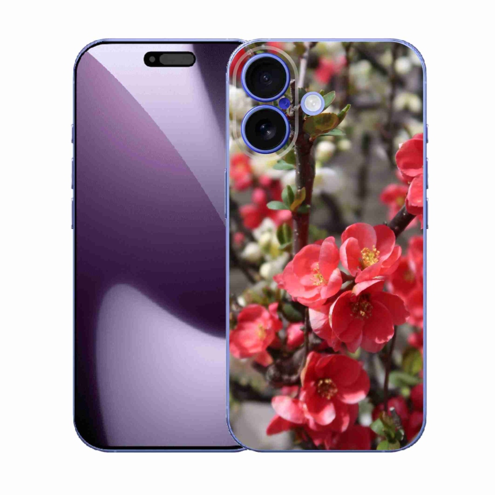 Gél borítás mmCase iPhone 17 készülékhez - piros virágok