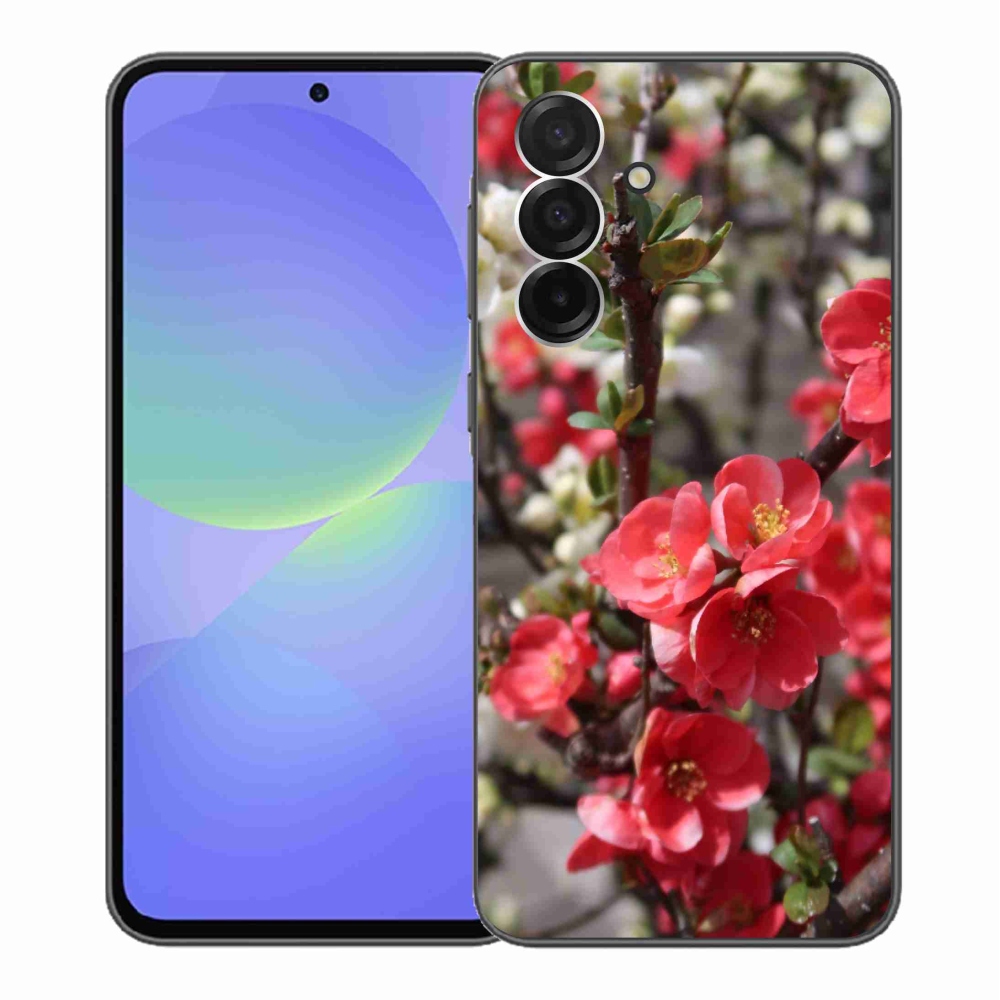 Gél védőhuzat mmCase Samsung Galaxy A36 5G - piros virágok