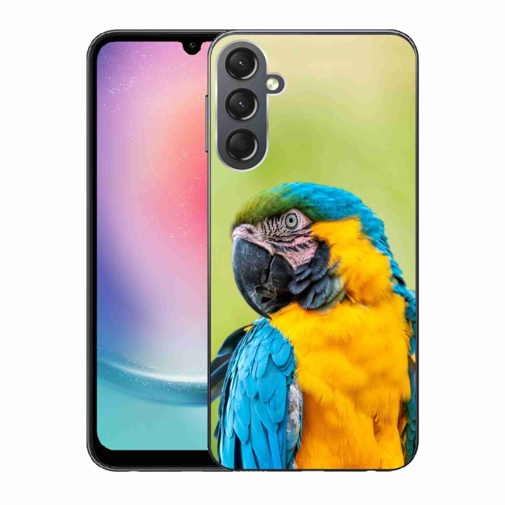 Gél tok mmCase Samsung Galaxy A24 készülékhez - papagáj ara 2
