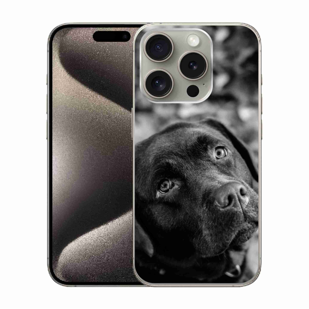 Gél tok mmCase iPhone 15 Pro készülékhez - labrador
