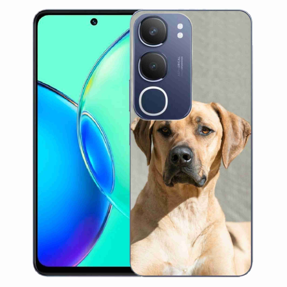 Gél borítás mmCase a Vivo Y19s készülékhez - ridgeback