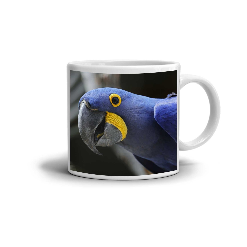 Fehér kerámia bögre 330ml képpel - kék jácint ara