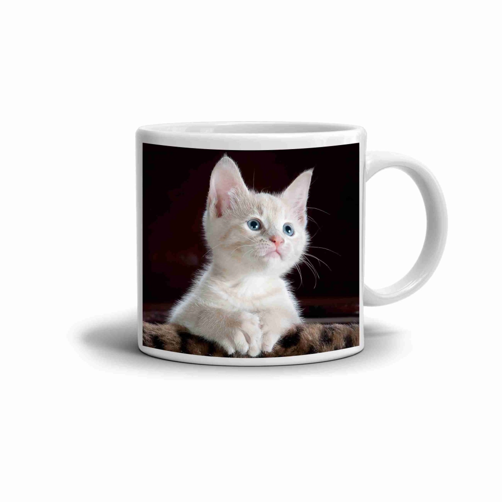 Fehér kerámia bögre 330ml képpel - kíváncsi cica