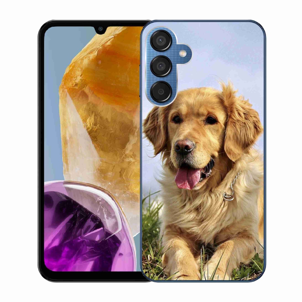 Gél tok mmCase a Samsung Galaxy M15 5G készülékhez - arany retriever